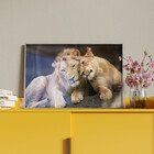 Quadro Decorativo Tela Canvas Animais Carinho De Leões Com Mo