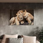 Quadro Decorativo Tela Canvas Animais Carinho De Leões Com Mo