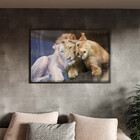 Quadro Decorativo Tela Canvas Animais Carinho De Leões Com Mo
