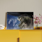 Quadro Decorativo Tela Canvas Animais Cavalos Friesian Com Mo