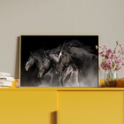 Quadro Decorativo Tela Canvas Animais Cavalos Friesian Com Mo