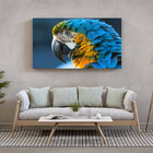 Quadro Decorativo Tela Canvas Animas Arara  - 120x60 Cm