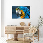 Quadro Decorativo Tela Canvas Animas Arara  - 120x60 Cm