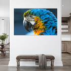 Quadro Decorativo Tela Canvas Animas Arara  - 120x80 Cm