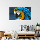 Quadro Decorativo Tela Canvas Animas Arara  - 180x120 Cm