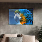 Quadro Decorativo Tela Canvas Animas Arara Com Moldura E Vidr