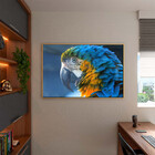 Quadro Decorativo Tela Canvas Animas Arara Com Moldura E Vidr