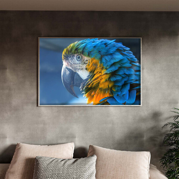 Quadro Decorativo Tela Canvas Animas Arara Com Moldura E Vidr