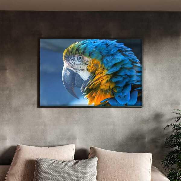 Quadro Decorativo Tela Canvas Animas Arara Com Moldura E Vidr