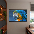 Quadro Decorativo Tela Canvas Animas Arara Com Moldura E Vidr