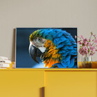 Quadro Decorativo Tela Canvas Animas Arara Com Moldura Prata