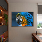 Quadro Decorativo Tela Canvas Animas Arara Com Moldura Prata