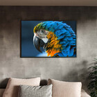 Quadro Decorativo Tela Canvas Animas Arara Com Moldura Preto