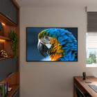 Quadro Decorativo Tela Canvas Animas Arara Com Moldura Preto