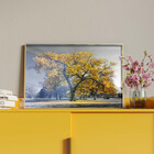 Quadro Decorativo Tela Canvas Paisagem Arvore Amarela Com Mol