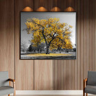 Quadro Decorativo Tela Canvas Paisagem Arvore Amarela Com Mol