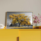 Quadro Decorativo Tela Canvas Paisagem Arvore Amarela Com Mol