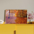 Quadro Decorativo Tela Canvas Paisagem Autumn Com Moldura E V