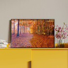 Quadro Decorativo Tela Canvas Paisagem Autumn Com Moldura E V