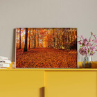 Quadro Decorativo Tela Canvas Paisagem Autumn Com Moldura Pra