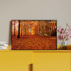 Quadro Decorativo Tela Canvas Paisagem Autumn Com Moldura Pre