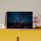 Quadro Decorativo Tela Canvas Paisagem Bonfire At The Desert