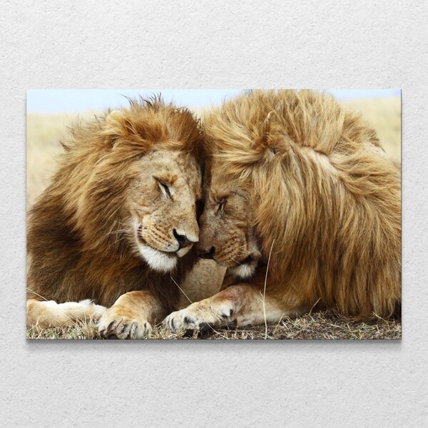 Quadro Decorativo Tela Horizontal Leão Carinhoso Sem Moldura