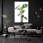 Quadro Decorativo Tela Vertical Costela De Adão Com Moldura E