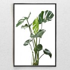 Quadro Decorativo Tela Vertical Costela De Adão Com Moldura E