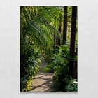 Quadro Decorativo Tela Vertical In Nature Sem Moldura E Sem V