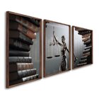 Quadro Decorativo Temático Direito Livros Com 3 Telas 60x90cm
