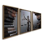 Quadro Decorativo Temático Direito Livros Com 3 Telas 60x90cm