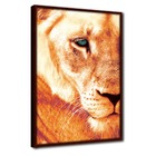 Quadro Decorativo Textura Cx Alta Leoa Cores 1 Pç 40x60  - Le