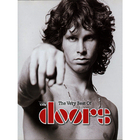 Quadro Decorativo The Doors 20x25