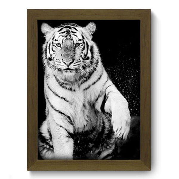 Quadro Decorativo - Tigre - 19cm X 25cm - 079qdsm