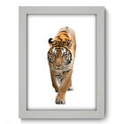 Quadro Decorativo - Tigre - 19cm X 25cm - 081qdsb