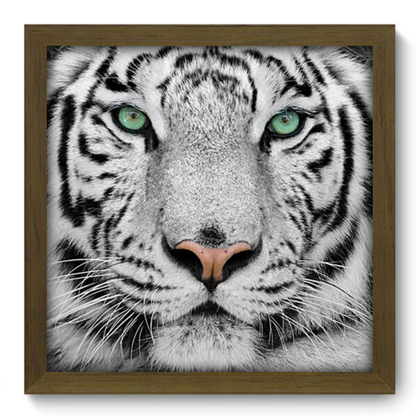 Quadro Decorativo - Tigre Branco - 33cm X 33cm - 002qdsm