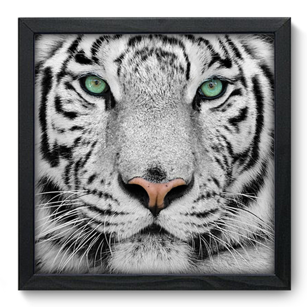 Quadro Decorativo Tigre Branco 33cm X 33cm 017qdsp Leroy Merlin
