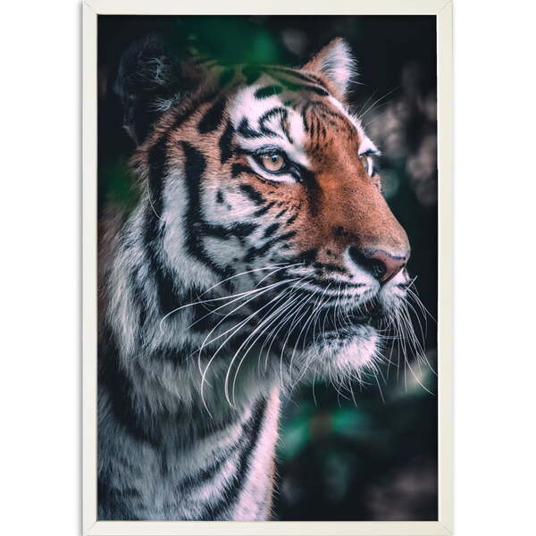 Quadro Decorativo Tigre Iii Moldura Sem Vidro Branco