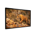 Quadro Decorativo Tigre Nas Montanhas