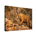 Quadro Decorativo Tigre Nas Montanhas