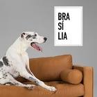 Quadro Decorativo Tipografia Brasília 45x34cm Moldura Branca