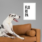 Quadro Decorativo Tipografia Floripa 24x18cm - Com Vidro Mold