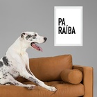 Quadro Decorativo Tipografia Paraíba 45x34cm - Com Vidro Mold