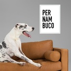 Quadro Decorativo Tipografia Pernambuco 33x24cm Moldura Branca