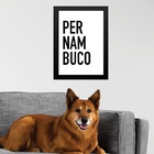 Quadro Decorativo Tipografia Pernambuco 45x34cm Moldura Branca