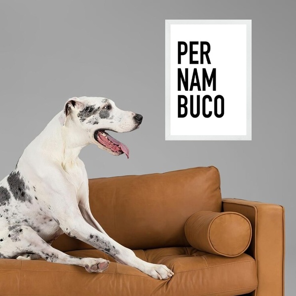 Quadro Decorativo Tipografia Pernambuco 45x34cm Moldura Branca