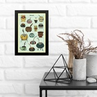 Quadro Decorativo Tipos De Cuia 24x18cm - Com Vidro Moldura P