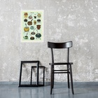 Quadro Decorativo Tipos De Cuia 24x18cm - Com Vidro Moldura P