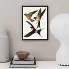 Quadro Decorativo Trio De Andorinhas 45x34cm Moldura Preta